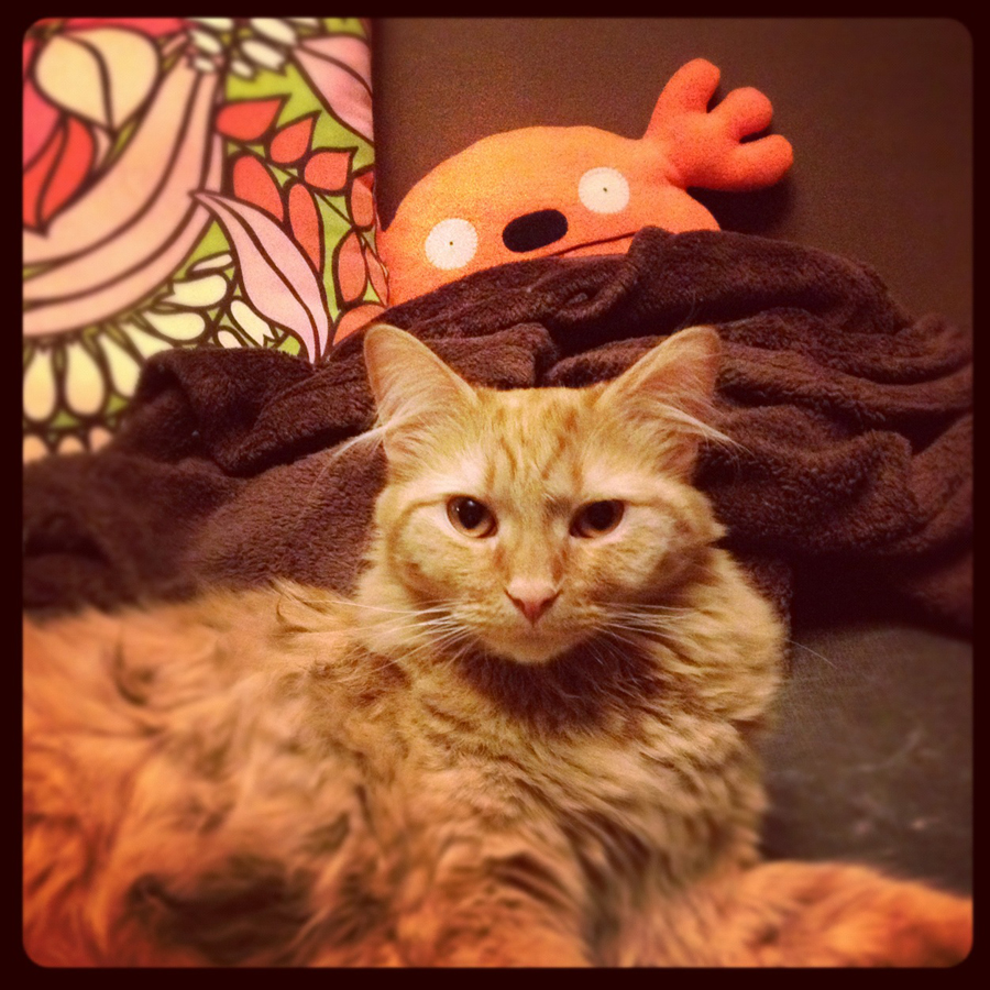 unfancy ted