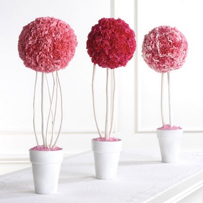 Carnation Pomander