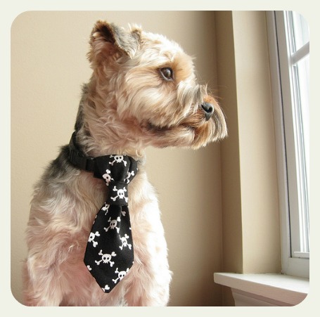 Dog tie