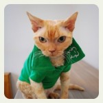 cat-toure polo
