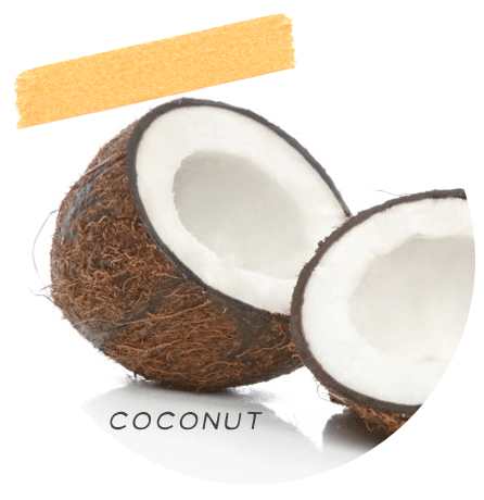 coconut