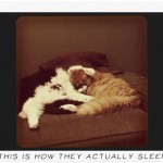 Ralph & Ted actually sleeping