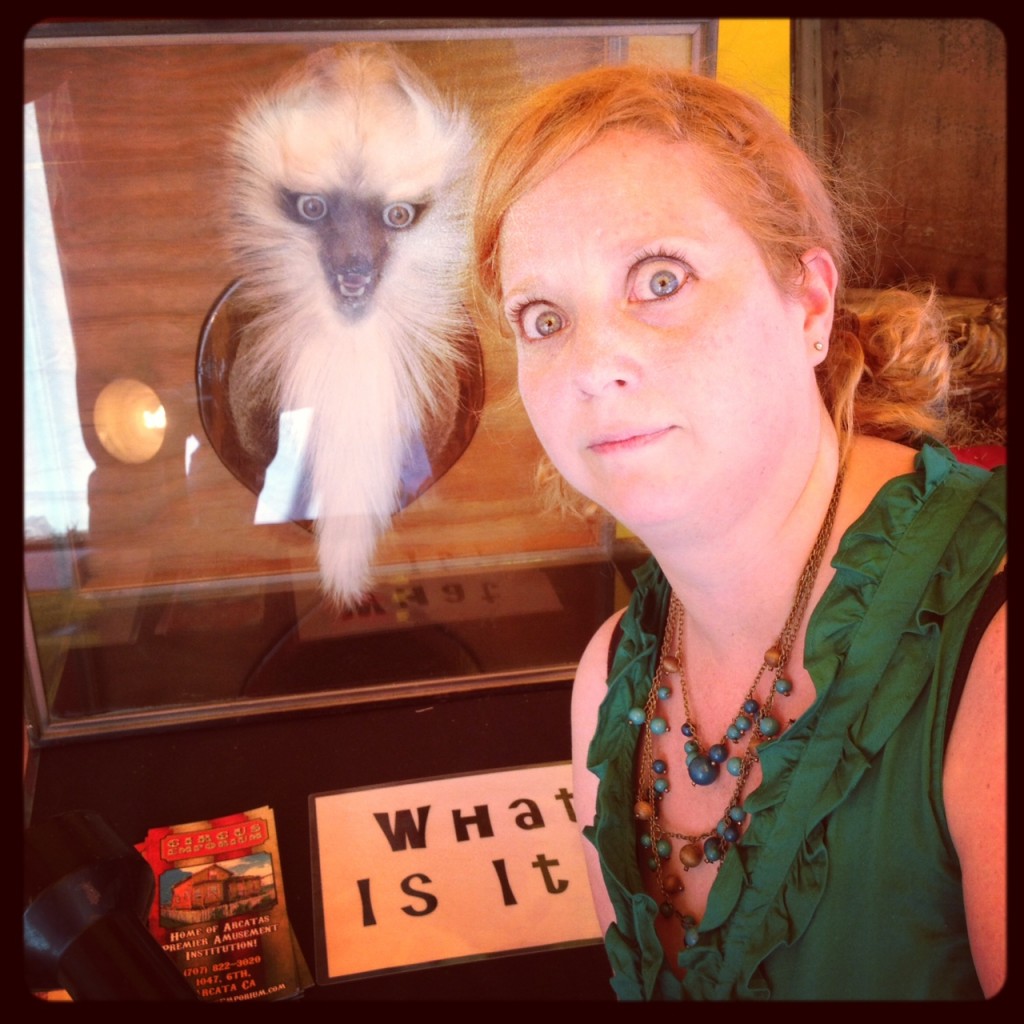 Curiosity shop