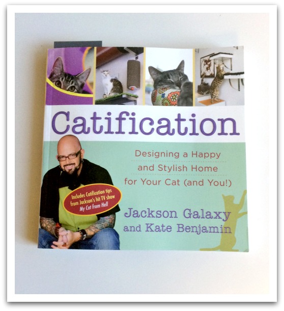 Catification