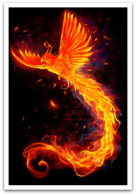 Phoenix rising