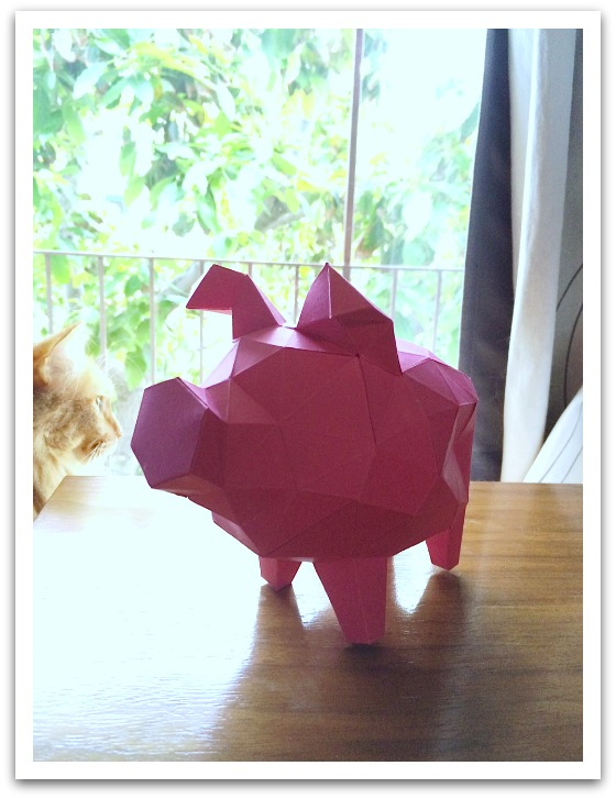 pig
